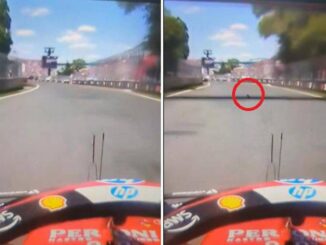Gp Montreal Hamilton investe una marmotta. Poi i problemi ai freni Il video