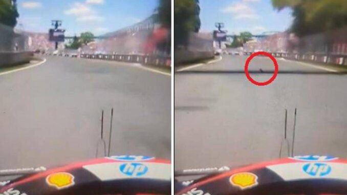 Gp Montreal, Hamilton investe una marmotta. Poi i problemi ai freni – Il video