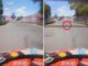 Gp Montreal Hamilton investe una marmotta. Poi i problemi ai freni Il video