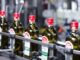 Olio Coricelli fatturato record di 415 milioni nel 2024 25