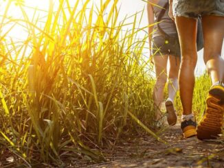 Progetto DoiMan in Val di Sole un concorso per i turisti piu gentili