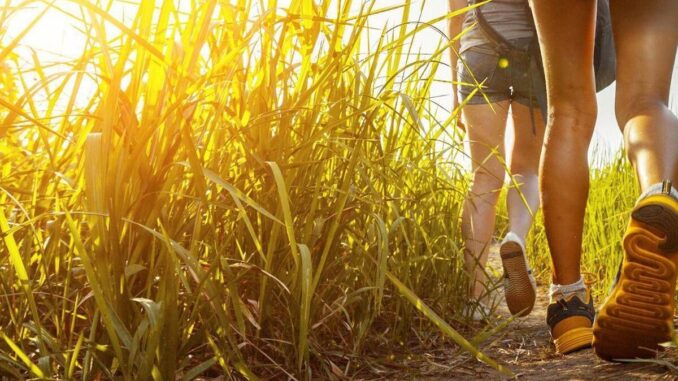 Progetto DoiMan, in Val di Sole un concorso per i turisti più gentili