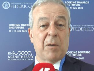 Ricerca Locatelli Da Rna a Car T nuove strade per tumori e malattie autoimmuni