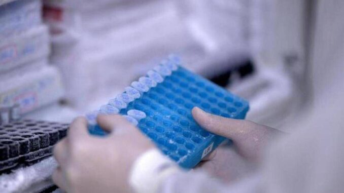 Ricerca, Rizzuto: “In Italia studi su Rna e terapie geniche per cure personalizzate”