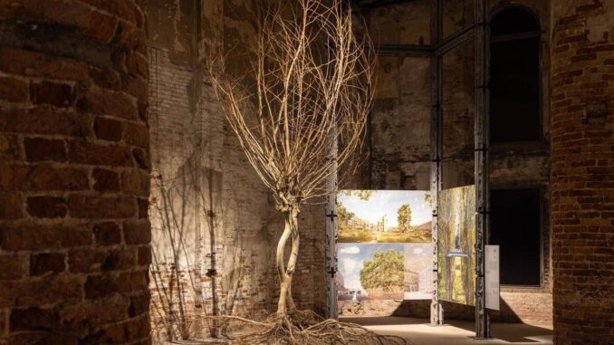 Sostenibilità, Gruppo Saviola: Pannelli Ecologici per Triennale Milano e Biennale Architettura