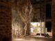 Sostenibilita Gruppo Saviola Pannelli Ecologici per Triennale Milano e Biennale Architettura