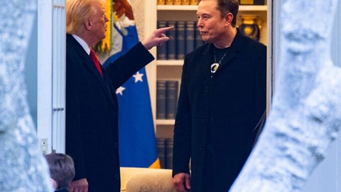 Trump-Musk, ecco come sono passati dalla bromance alla rottura