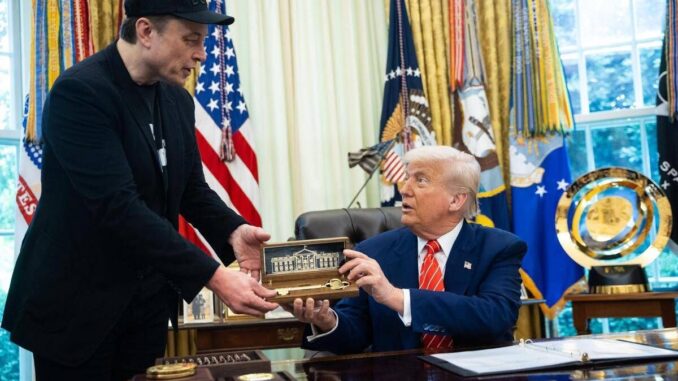 Trump contro Musk, di chi è la colpa? Grok accusa ‘papà Elon’